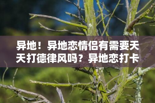 异地！异地恋情侣有需要天天打德律风吗？异地恋打卡式聊天