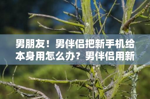 男朋友！男伴侣把新手机给本身用怎么办？男伴侣用新手机我用旧的适合吗