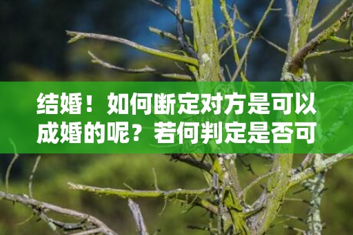 结婚！如何断定对方是可以成婚的呢？若何判定是否可以成婚