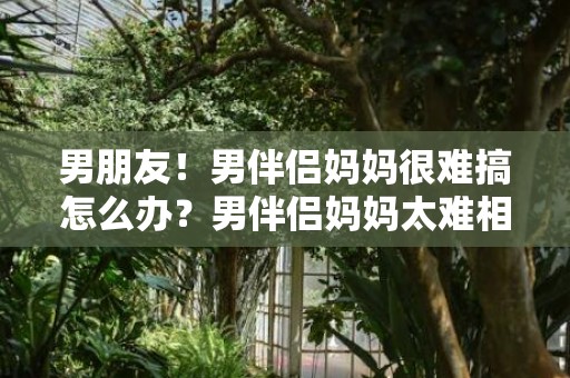 男朋友！男伴侣妈妈很难搞怎么办？男伴侣妈妈太难相处