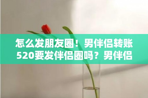 怎么发朋友圈！男伴侣转账520要发伴侣圈吗？男伴侣转账520怎么发伴侣圈