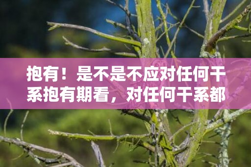 抱有！是不是不应对任何干系抱有期看，对任何干系都不抱有等待