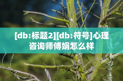 [db:标题2][db:符号]心理咨询师傅娟怎么样