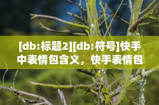 [db:标题2][db:符号]快手中表情包含义，快手表情包含义对照表