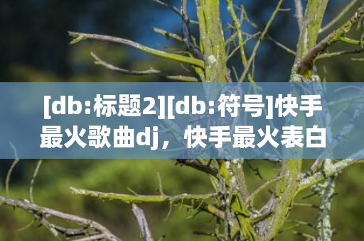 [db:标题2][db:符号]快手最火歌曲dj，快手最火表白歌曲大全