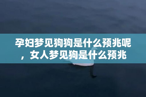 孕妇梦见狗狗是什么预兆呢，女人梦见狗是什么预兆