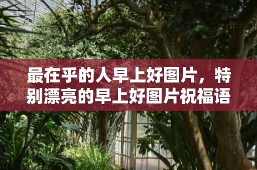 最在乎的人早上好图片，特别漂亮的早上好图片祝福语