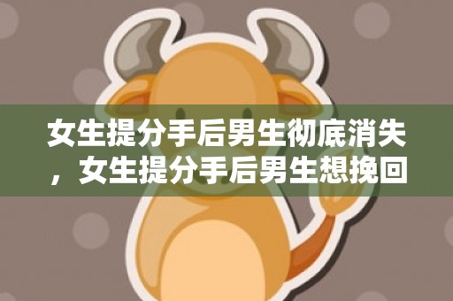 女生提分手后男生彻底消失，女生提分手后男生想挽回（女生提分手后男生挽回被拒绝）