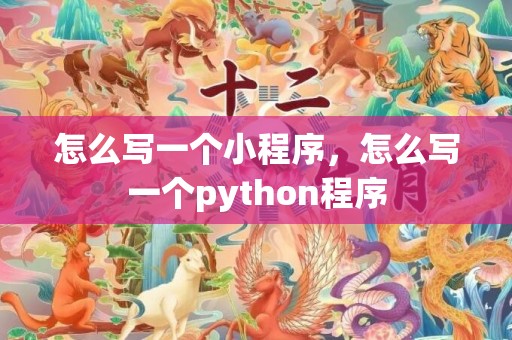 怎么写一个小程序，怎么写一个python程序