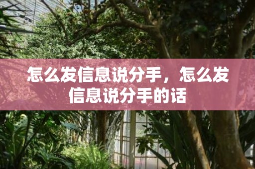 怎么发信息说分手，怎么发信息说分手的话
