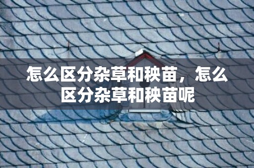 怎么区分杂草和秧苗，怎么区分杂草和秧苗呢