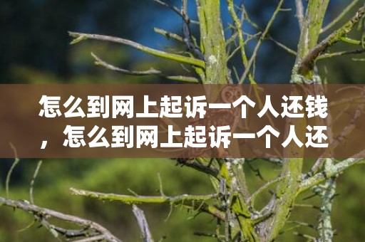 怎么到网上起诉一个人还钱，怎么到网上起诉一个人还钱