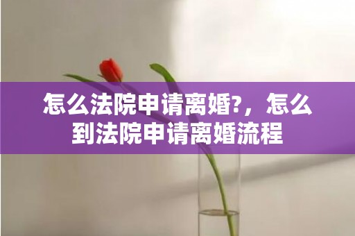 怎么法院申请离婚?，怎么到法院申请离婚流程