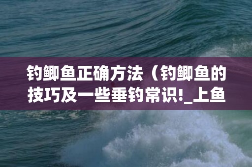 钓鲫鱼正确方法（钓鲫鱼的技巧及一些垂钓常识!_上鱼了）