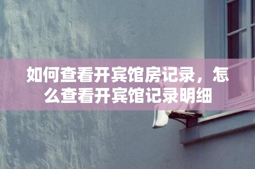 如何查看开宾馆房记录，怎么查看开宾馆记录明细