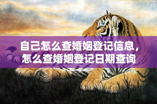 自己怎么查婚姻登记信息，怎么查婚姻登记日期查询