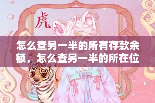 怎么查另一半的所有存款余额，怎么查另一半的所在位置
