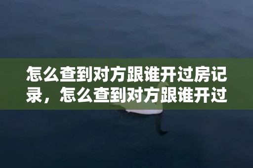 怎么查到对方跟谁开过房记录，怎么查到对方跟谁开过房