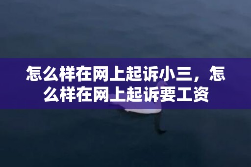 怎么样在网上起诉小三，怎么样在网上起诉要工资