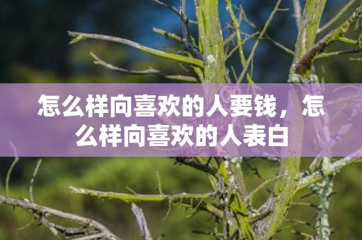 怎么样向喜欢的人要钱，怎么样向喜欢的人表白
