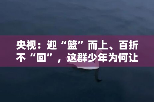 央视：迎“篮”而上、百折不“回”，这群少年为何让很多人热血沸腾