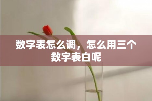 数字表怎么调，怎么用三个数字表白呢