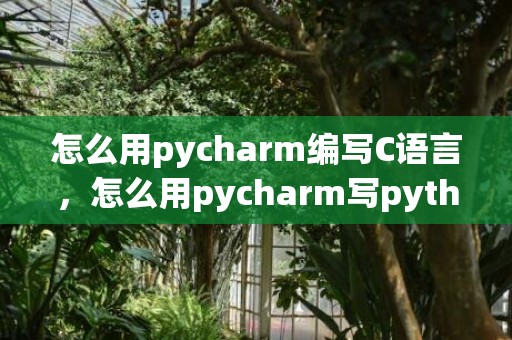 怎么用pycharm编写C语言，怎么用pycharm写python