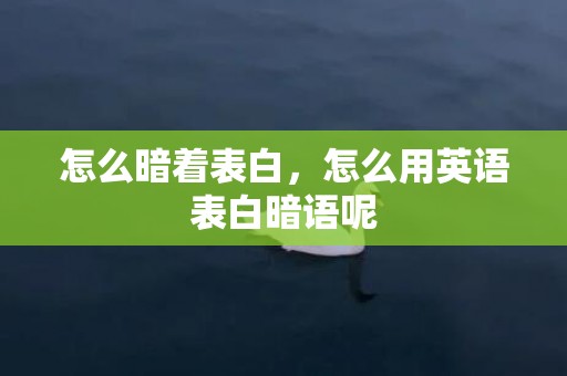 怎么暗着表白，怎么用英语表白暗语呢