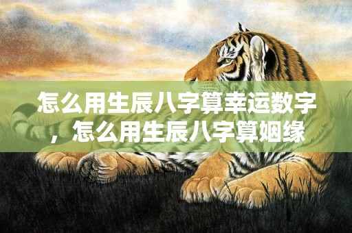 怎么用生辰八字算幸运数字，怎么用生辰八字算姻缘
