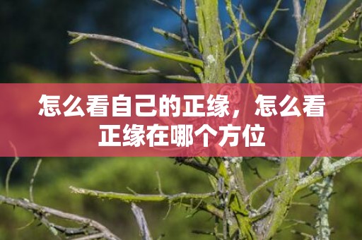 怎么看自己的正缘，怎么看正缘在哪个方位