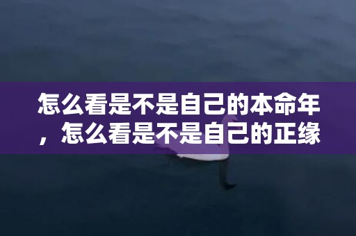 怎么看是不是自己的本命年，怎么看是不是自己的正缘