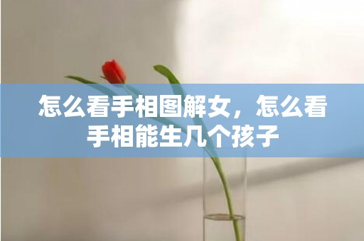 怎么看手相图解女，怎么看手相能生几个孩子