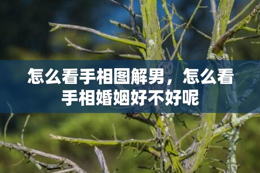 怎么看手相图解男，怎么看手相婚姻好不好呢