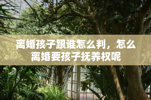 离婚孩子跟谁怎么判，怎么离婚要孩子抚养权呢