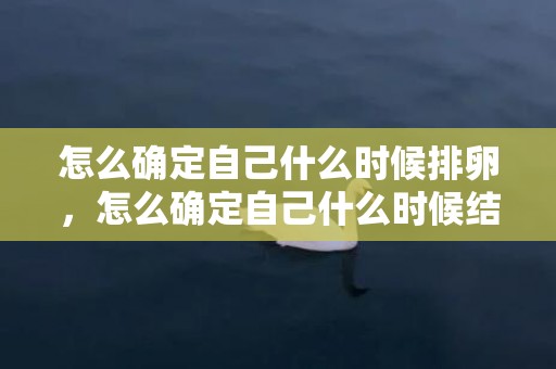 怎么确定自己什么时候排卵，怎么确定自己什么时候结婚