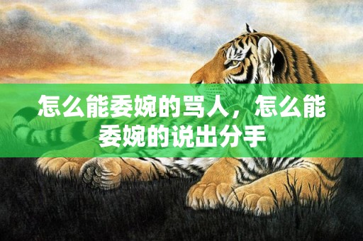 怎么能委婉的骂人，怎么能委婉的说出分手