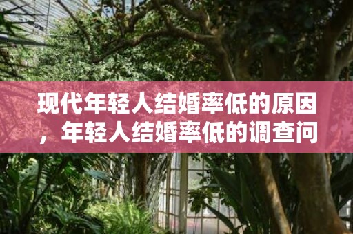 现代年轻人结婚率低的原因，年轻人结婚率低的调查问卷