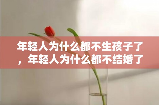 年轻人为什么都不生孩子了，年轻人为什么都不结婚了呢