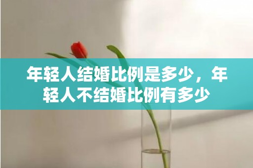 年轻人结婚比例是多少，年轻人不结婚比例有多少