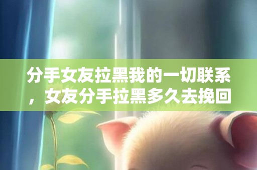 分手女友拉黑我的一切联系，女友分手拉黑多久去挽回（女友分手拉黑多久去挽回合适）