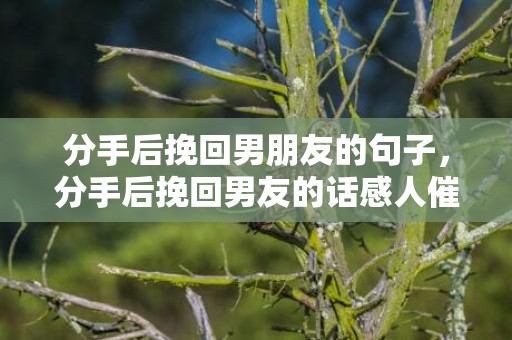 分手后挽回男朋友的句子，分手后挽回男友的话感人催泪
