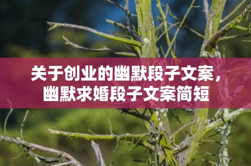 关于创业的幽默段子文案，幽默求婚段子文案简短