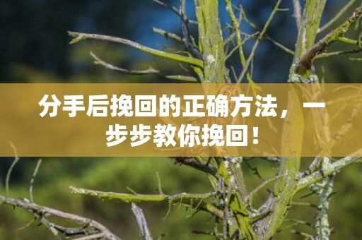 分手后挽回的正确方法，一步步教你挽回！
