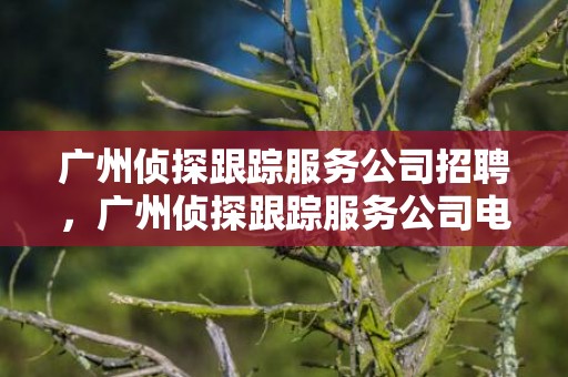 广州侦探跟踪服务公司招聘，广州侦探跟踪服务公司电话