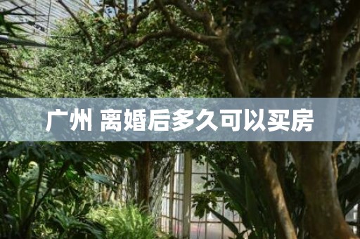 广州 离婚后多久可以买房