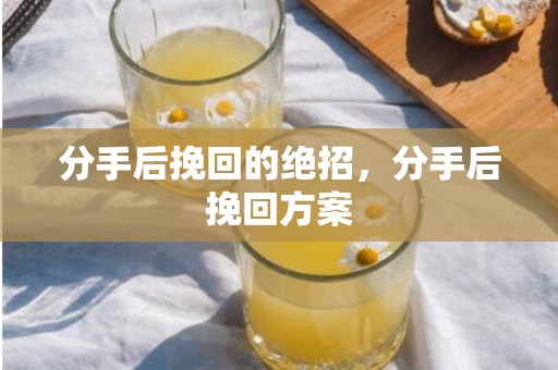 分手后挽回的绝招，分手后挽回方案