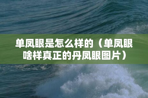 单凤眼是怎么样的（单凤眼啥样真正的丹凤眼图片）