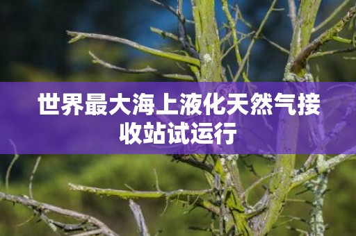 世界最大海上液化天然气接收站试运行