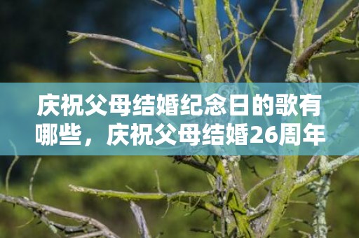 庆祝父母结婚纪念日的歌有哪些，庆祝父母结婚26周年句子