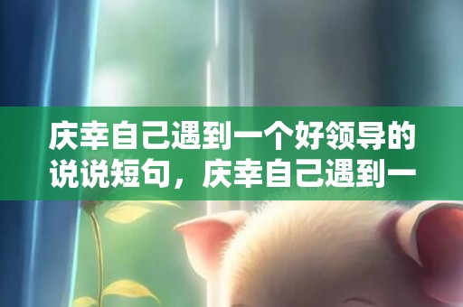 庆幸自己遇到一个好领导的说说短句，庆幸自己遇到一个好婆婆